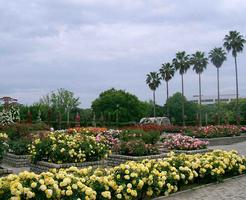 2 Schermata del giardino botanico