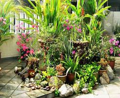 Design de plantes de jardin tropical Affiche