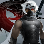 ikon Ninja Assassin