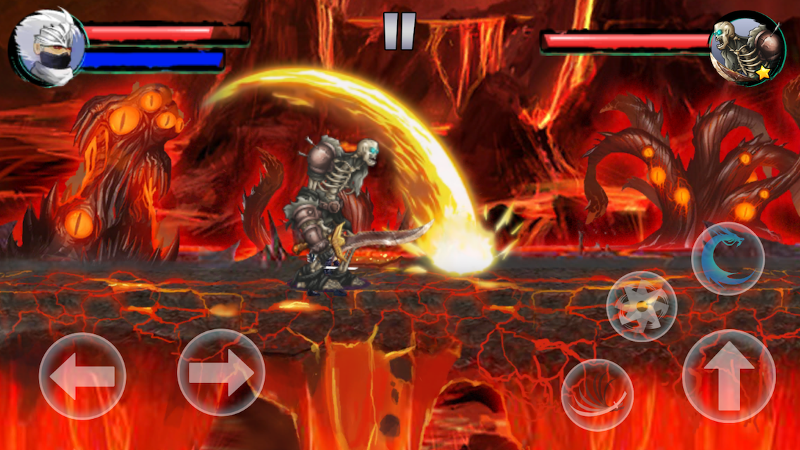 Ninja Fighter Z Ninja Fighter Z