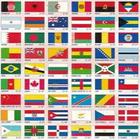 Flags Quiz ícone