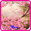 Spring Flowers Wallpaper New HD APK