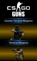 CS: Global Offensive Guns Affiche