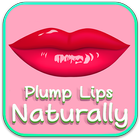 Plump Lips Naturally Home Tips icône