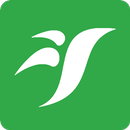 Liwi - Connect & Transfer APK