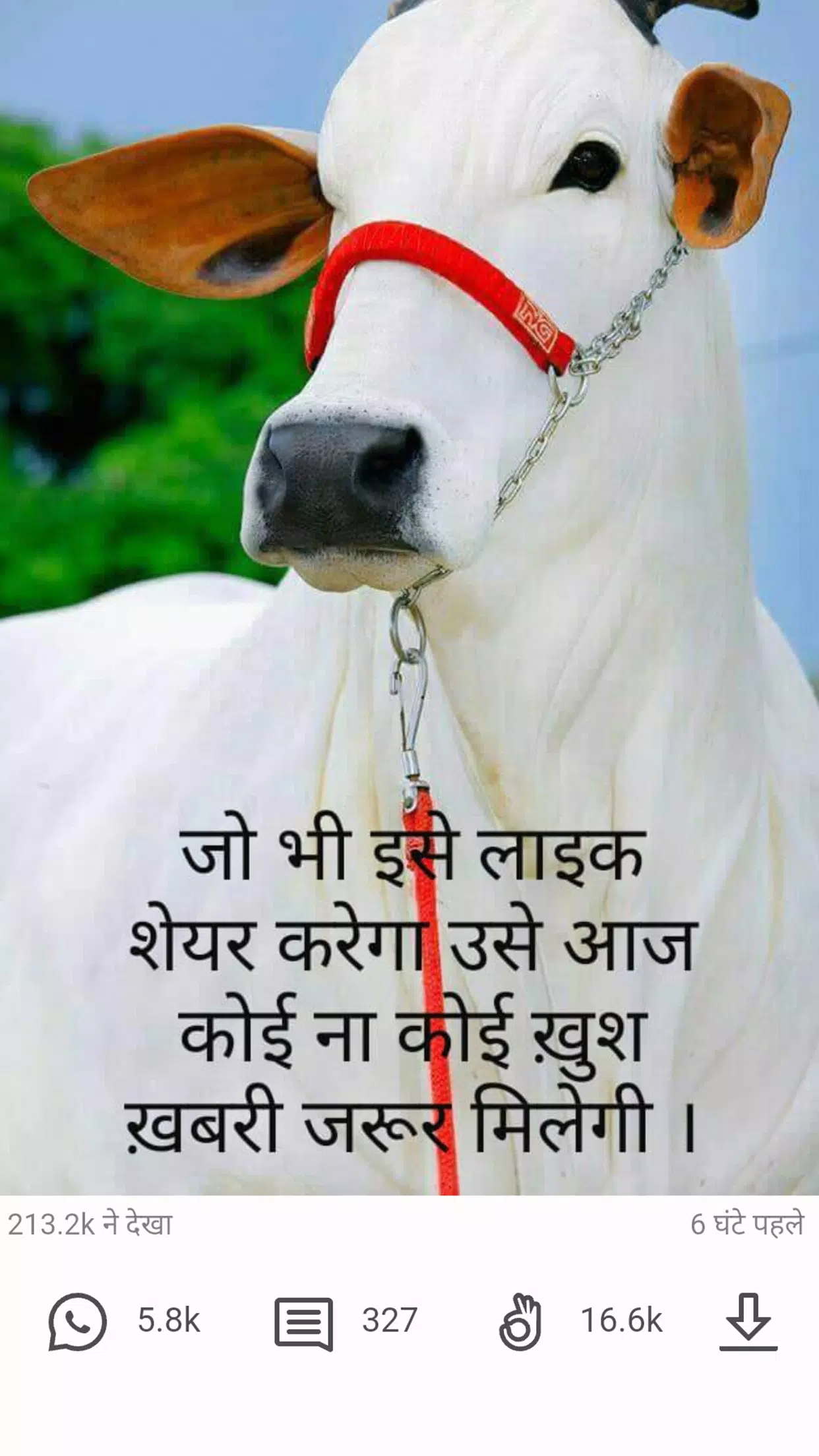 Lite for ShareChat - Video, Photo, Shayari, Quotes APK pour Android Télécharger Lite for ShareChat - Video, Photo, Shayari, Quotes APK pour Android Télécharger