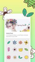 Spring Flower Affiche