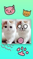 Kittens PhotoWonder скриншот 1