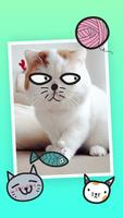萌猫日记-魔图 截图 2