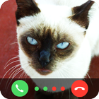 آیکون‌ Cat Call You