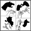 DIY Hand Shadow Puppets How To Make Ideas Tutorial