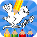 Learn & Play with Colors