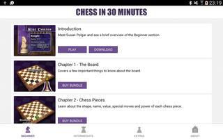 Learn Chess in 30 Minutes poster