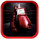 APK Boxing Training and Techniques