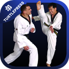 Taekwondo Skills and Drills icône