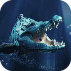 Icona Crocodile live wallpaper