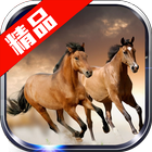 Horse Wallpaper آئیکن