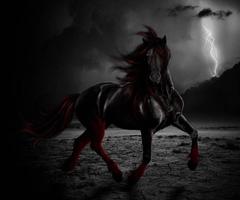 Horse Wallpaper syot layar 2