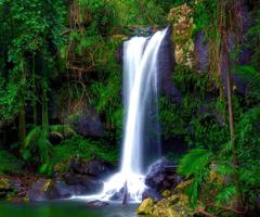 Waterfall Wallpaper স্ক্রিনশট 3