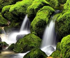 برنامه‌نما Waterfall Wallpaper عکس از صفحه