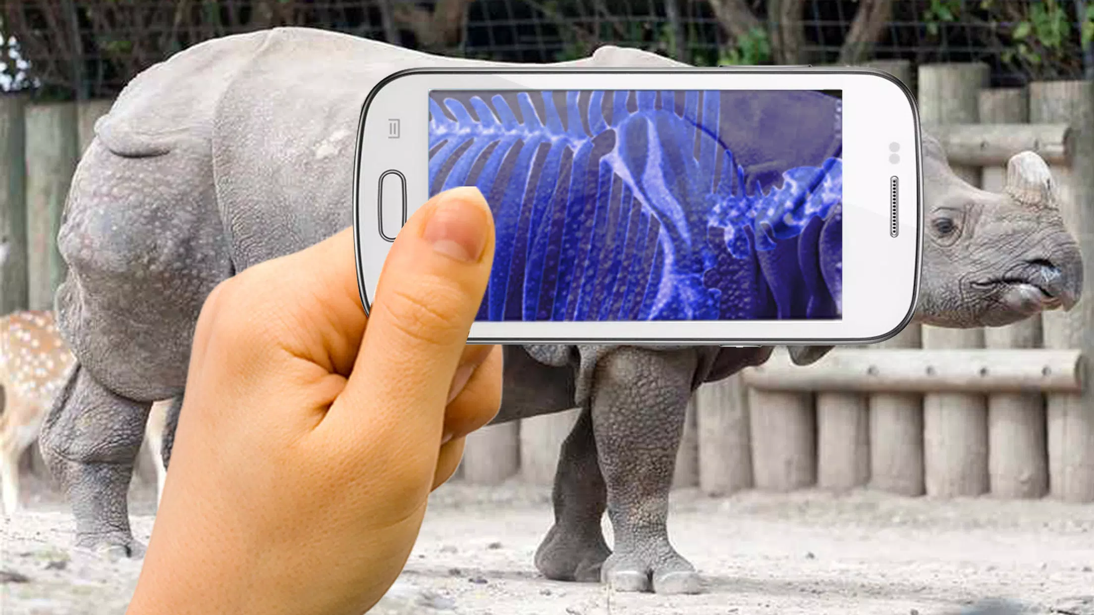 Xray Animal Scanner for Android - APK Download