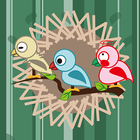 BirdWeak - Feed the cute birds-icoon