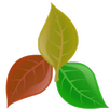 Plantassoc - companion planting APK