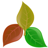 Plantassoc - companion planting icon