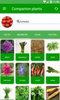 Plantassoc - companion planting poster