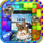 Live Mouse In Phone - Prank icon