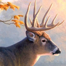 live deer wallpapers APK