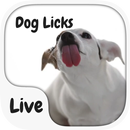 Dog Licking Keyboard  Animated APK