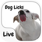 Dog Licking Keyboard  Animated icon