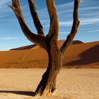 Deserto De LWP ícone