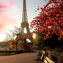 Lwp パリ APK