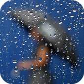 Rain Live Wallpaper  icon