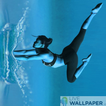Splash dance live wallpaper