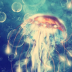 live wallpapers jellyfish