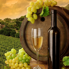 live wine wallpaper آئیکن