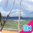 Beach Palms Live WallPaper ไอคอน