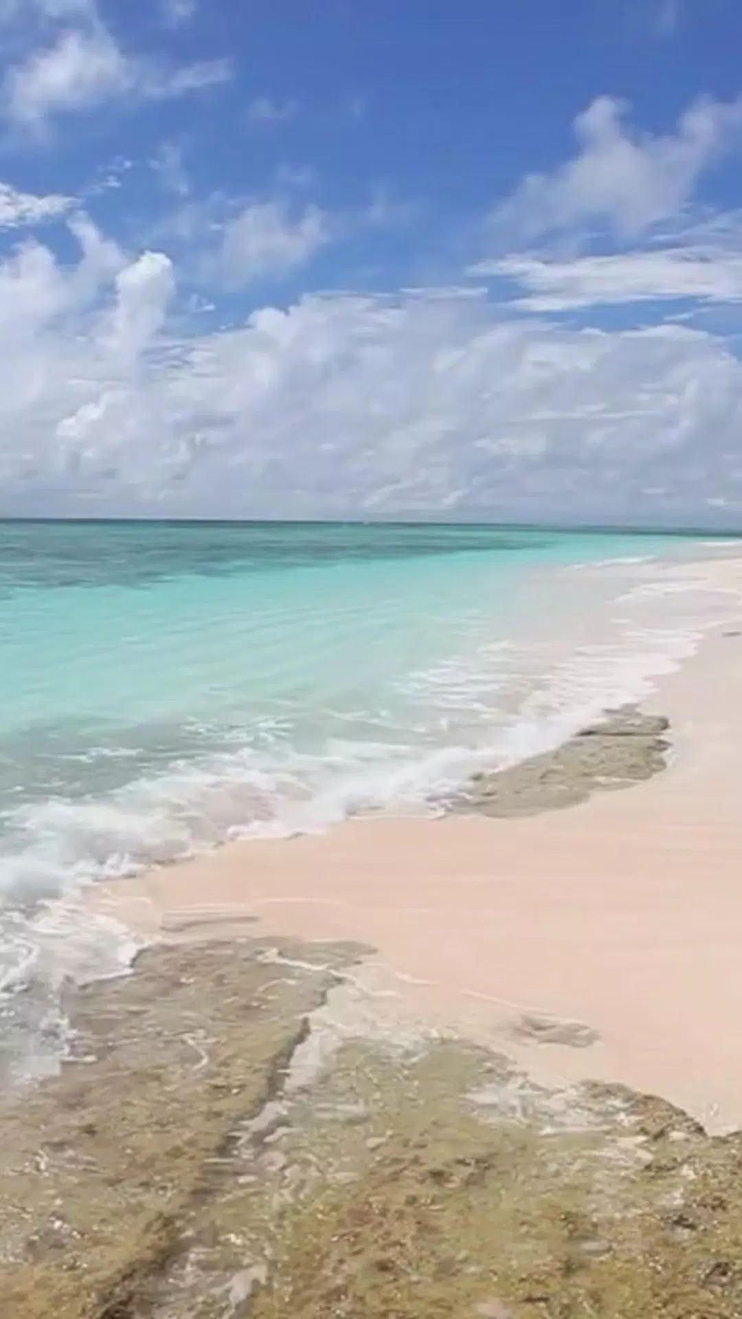 Beach Waves Live WallPaper APK for Android Download Beach Waves Live WallPaper APK for Android Download
