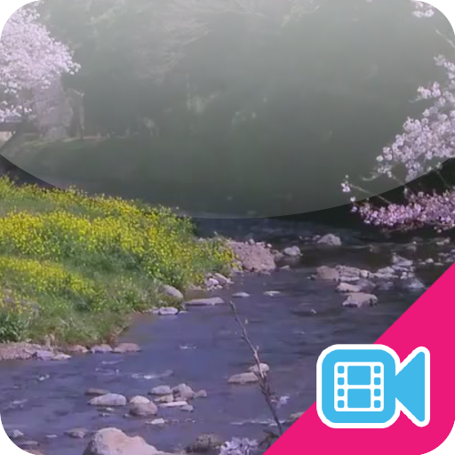 Spring River Live WallPaper
