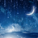 Night  Darkness Wallpaper-APK