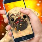 Dog Live Wallpaper-icoon