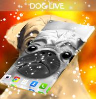 Perro Live Wallpaper captura de pantalla 2