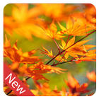 Autumn live wallpaper icône