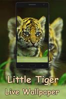 Little Tiger live wallpaper Affiche