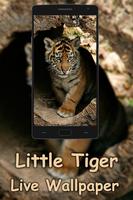 Little Tiger live wallpaper capture d'écran 1