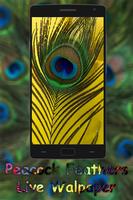 Peacock Feather live wallpaper 스크린샷 3