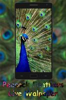 Peacock Feather live wallpaper 포스터